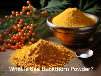 What Is Sea Buckthorn Powder?